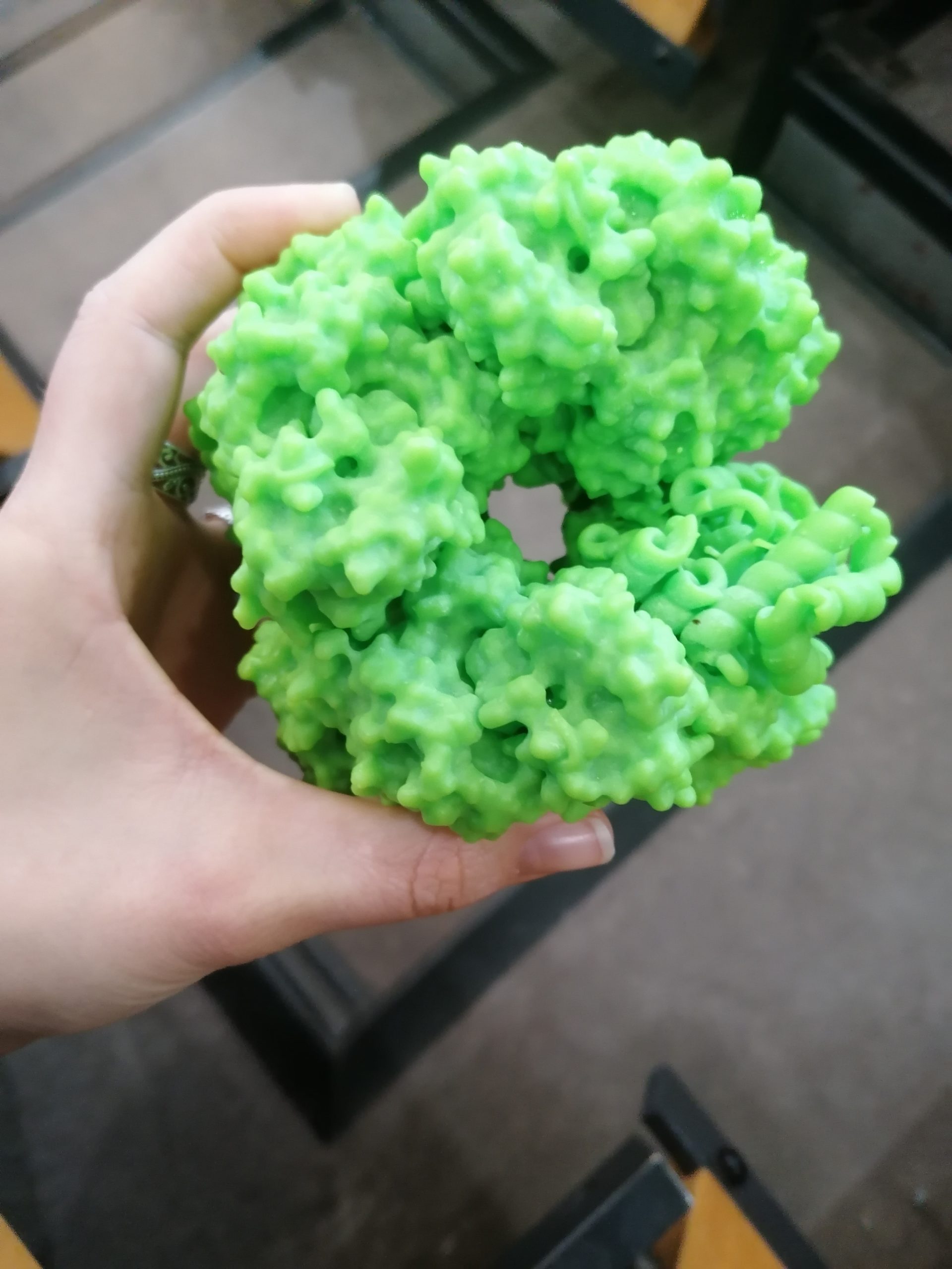 Schule mit Wissenschaft – Rubisco Schule mit Wissenschaft – Rubisco